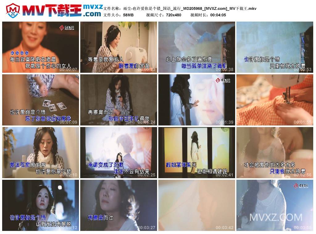 雨尘-也许爱你是个错_国语_流行_MD205968